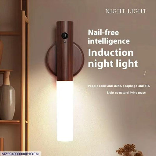 Magnetic Induction Night Light for Home Pakistan